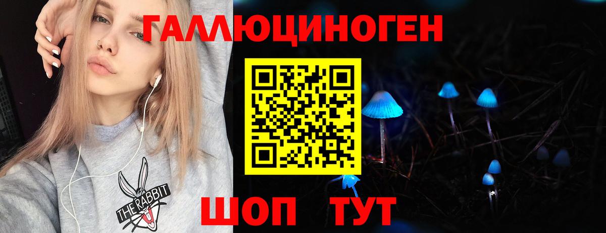 Псилоцибиновые грибы Psilocybe Сергиев Посад